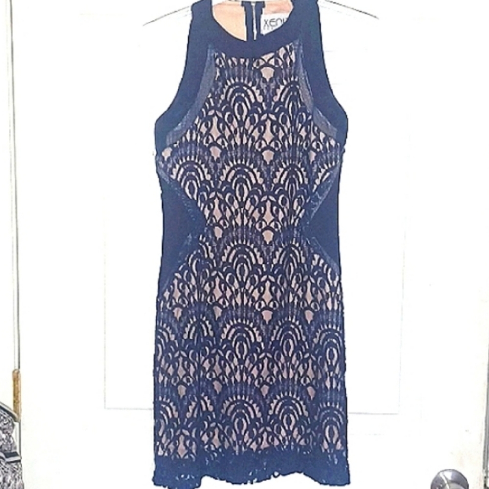 Xenia boutique size 2 dress lace with mesh side panels